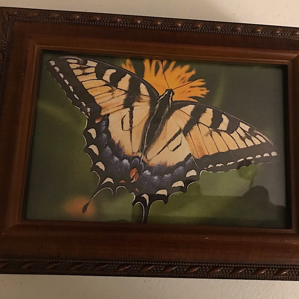 Music Box Butterfly. Plays “Great is Thy Faithfulness”